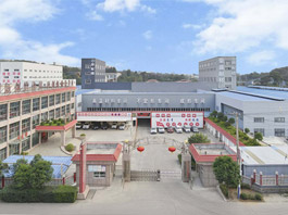 公司簡介